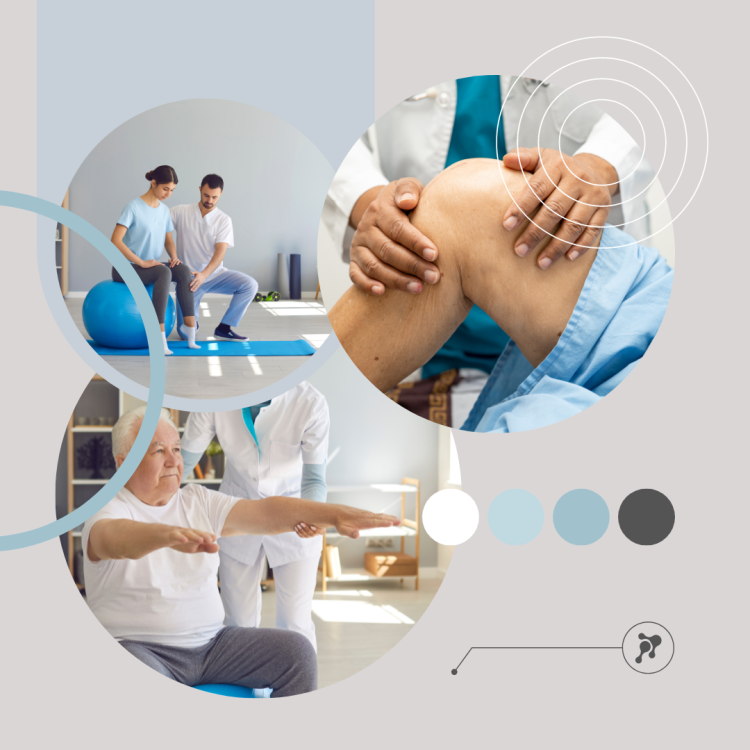 Фитокрем-бальзам (Крем для суставов, фитокрем) для суставов, локтей 250 мл. DctrGo  в Брянске Фитокрем-бальзам (Крем для суставов, фитокрем) для суставов, локтей 250 мл. DctrGo  в Брянске